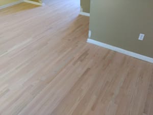 Pet Stain Repair - After