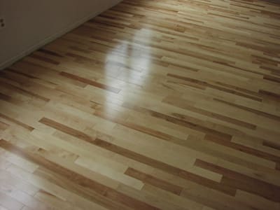 Prefinished Birch