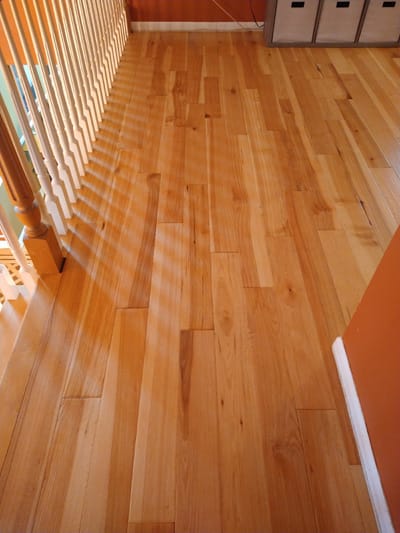 Hickory Natural