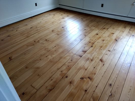200+ year old Knotty Pine