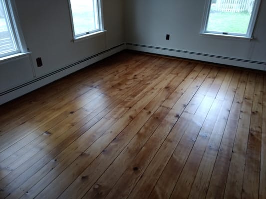 200+ year old Knotty Pine