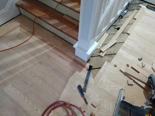 Lacewood Feature Strip Border