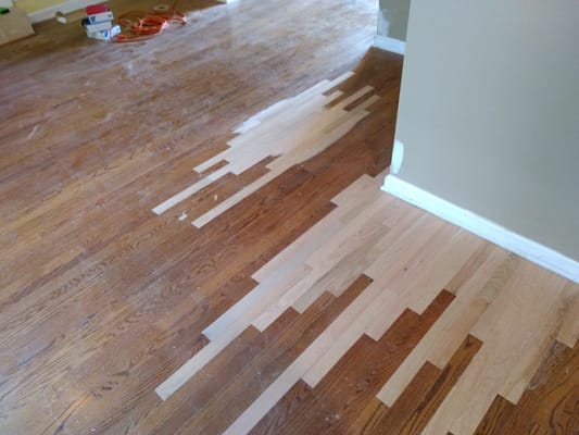 Pet Stain Repair - In Progress