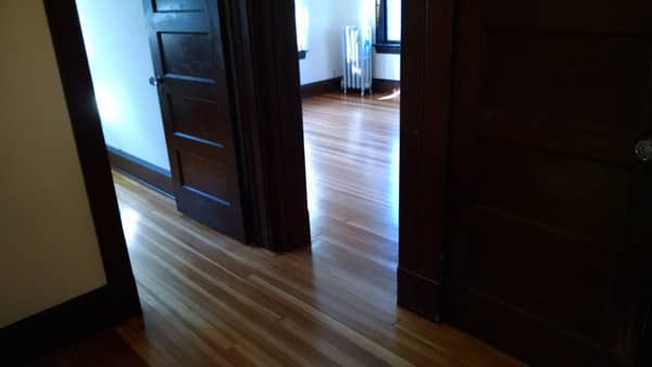 100 yr old Vertical Grain Pine